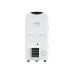 Мобильный кондиционер Royal Clima Largo RM-L51CN-E
